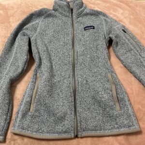 Patagonia Gray Better Sweater Full-Length Zipper Stand-Up Collar